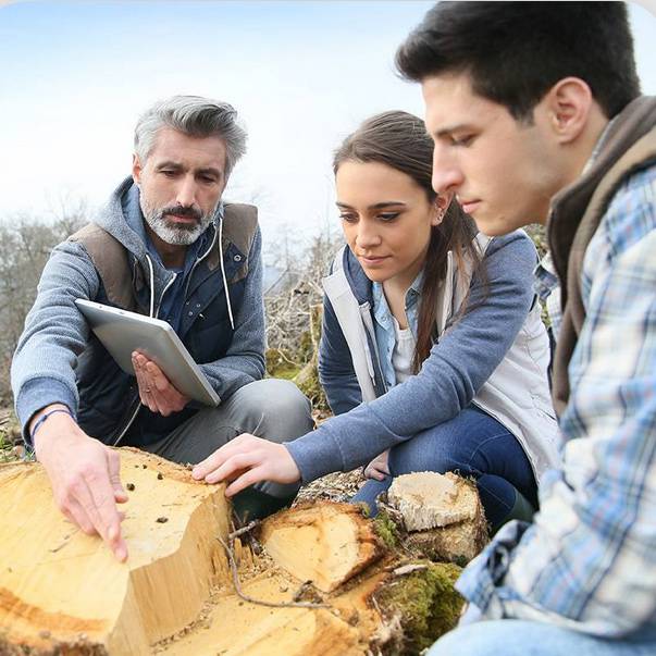 Exciting collaboration: ForestNavigator, ForestPaths and PathFinder develop policy pathways to maximise forest contributions to climate neutrality