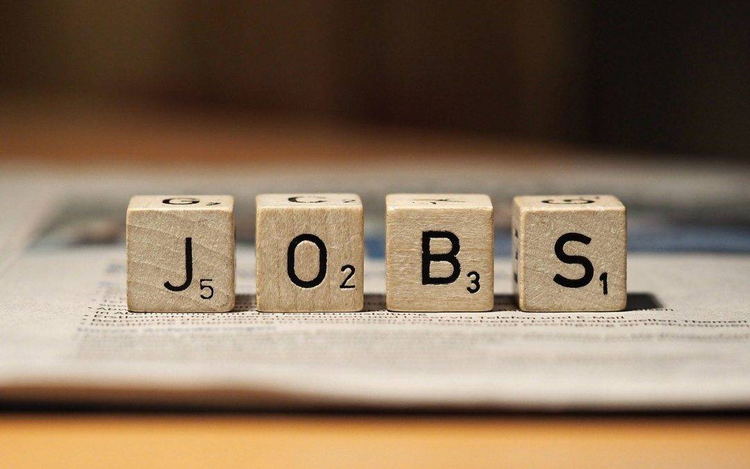 Job Opportunity at IIASA – Coordinator of ForestNavigator